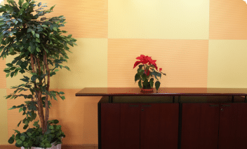 Large green plant next with desk and red flowers on top of the desk